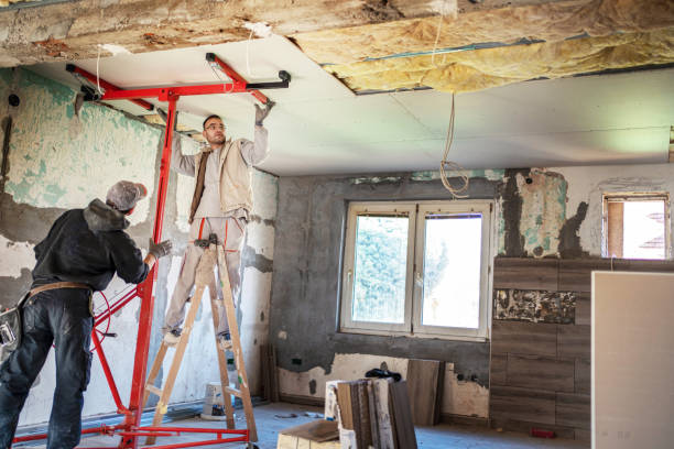 Best Insulation Maintenance and Repair in Waynesville, MO